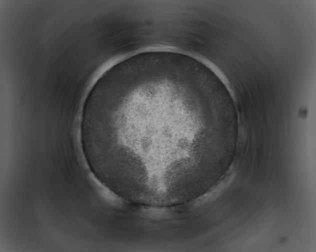 X0000101191245200807181504