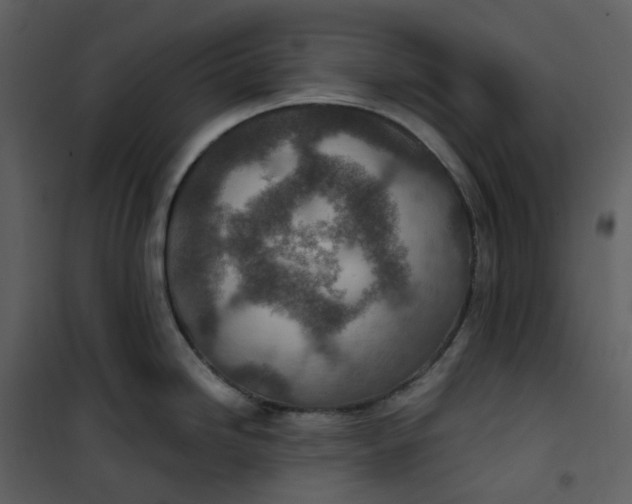 X0000101191246200807181504