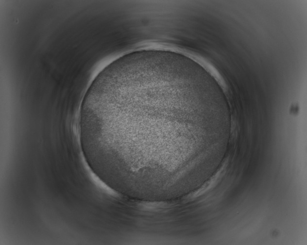 X0000101191247200807181504