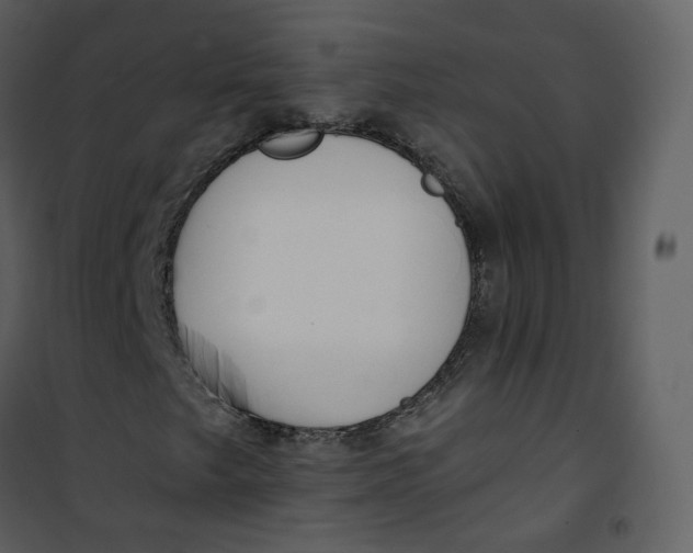 X0000101191249200807181503