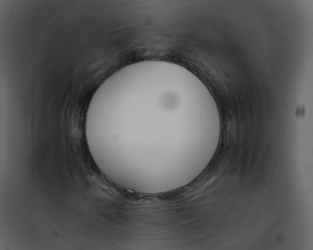 X0000101191250200807181503