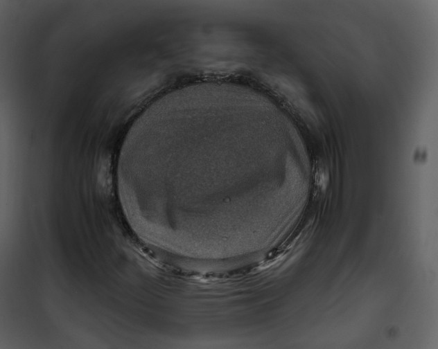 X0000101191252200807181503