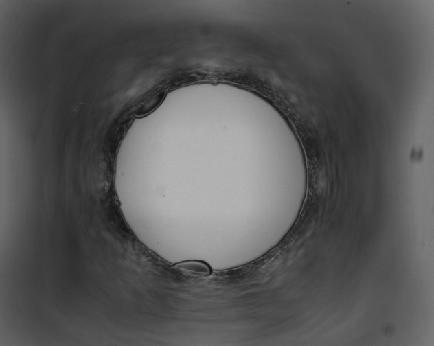 X0000101191253200807181503