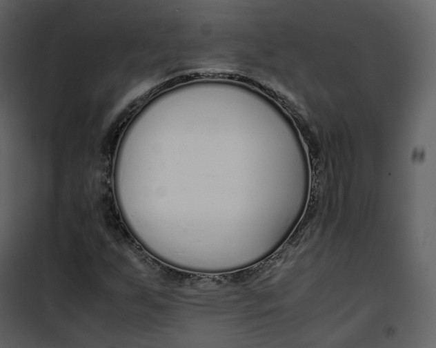 X0000101191255200807181503