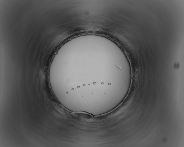 X0000101191257200807181503
