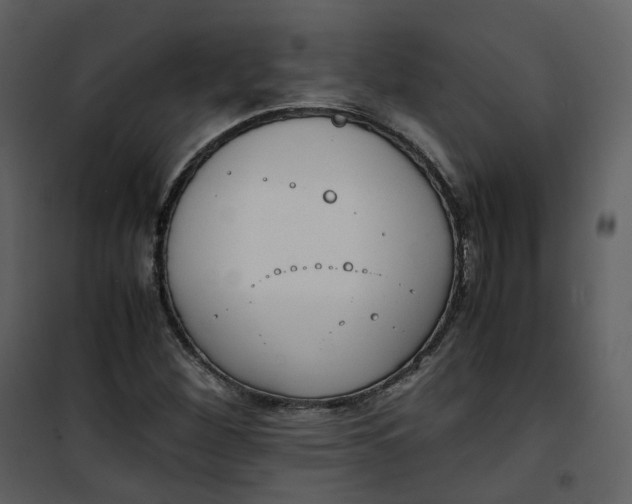 X0000101191260200807181503