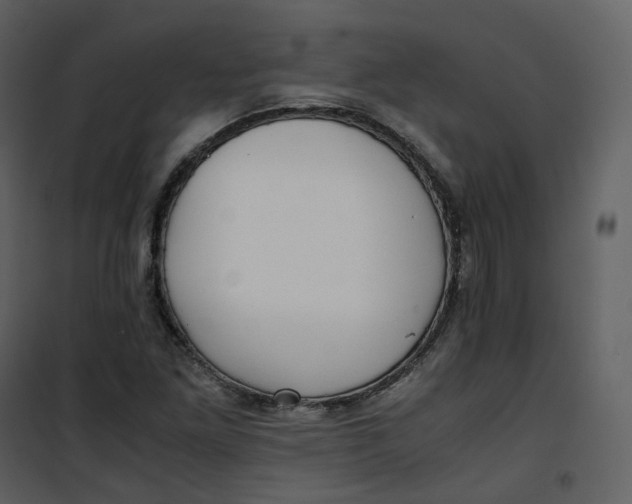 X0000101191261200807181503