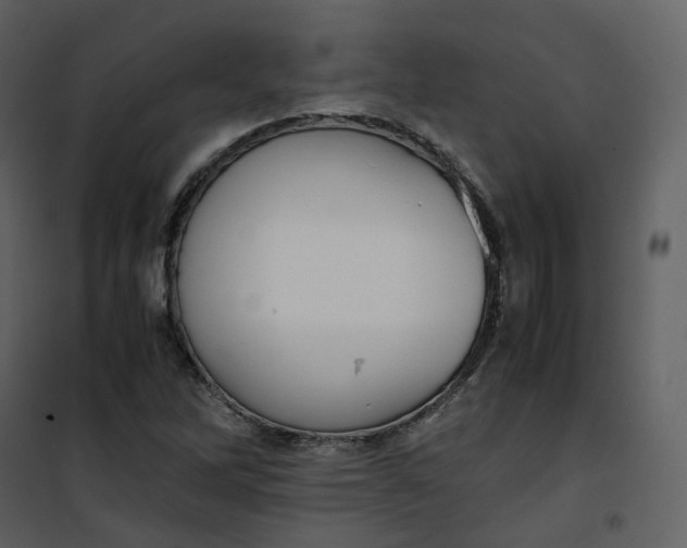 X0000101191262200807181503