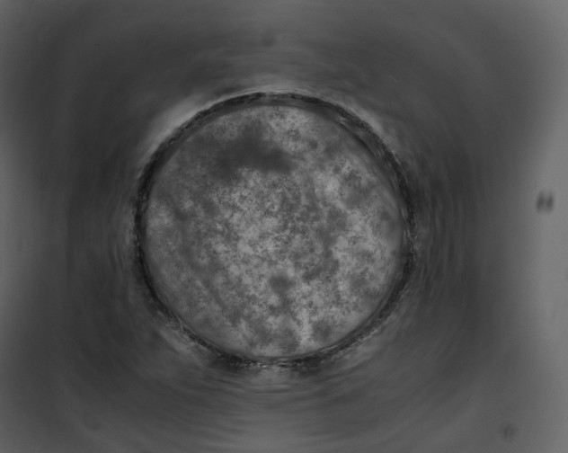 X0000101191263200807181503