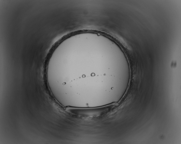 X0000101191264200807181503