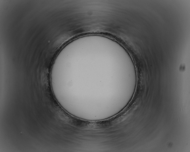 X0000101191265200807181502