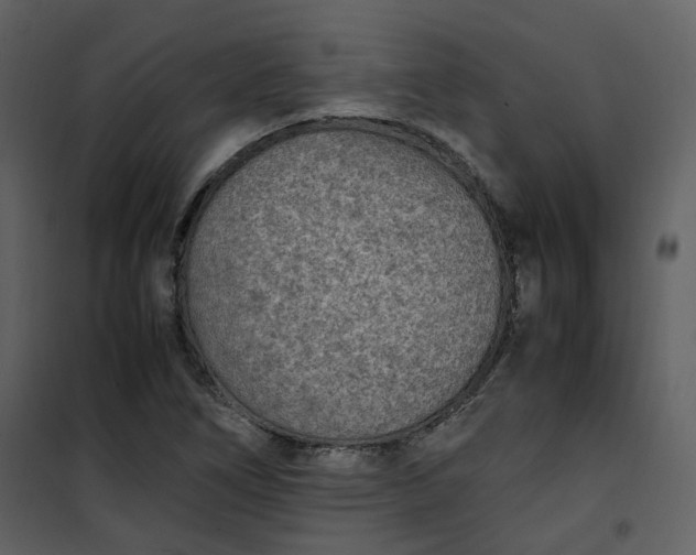 X0000101191266200807181502