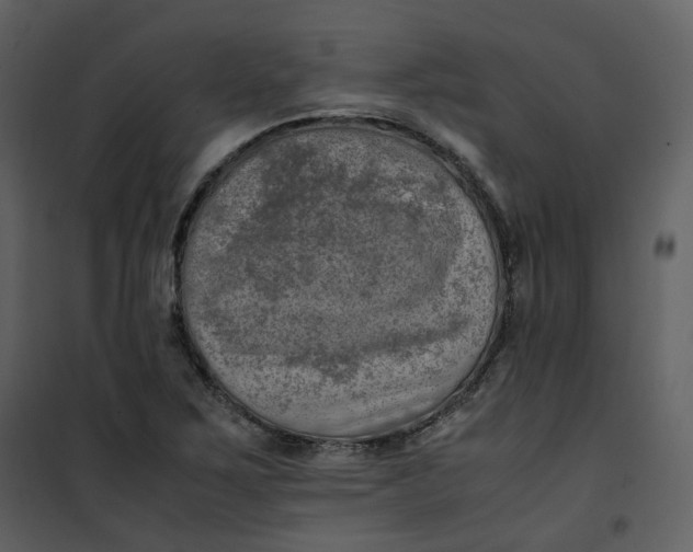 X0000101191267200807181502