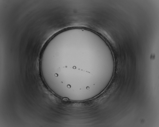 X0000101191268200807181502