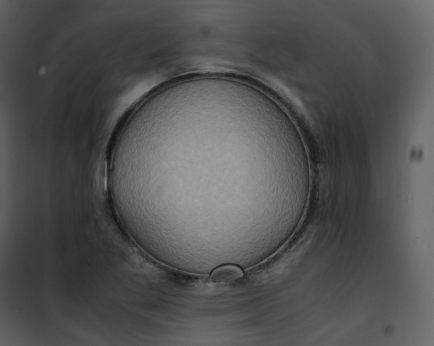 X0000101191269200807181502