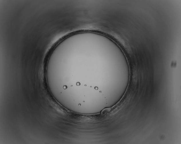 X0000101191270200807181502
