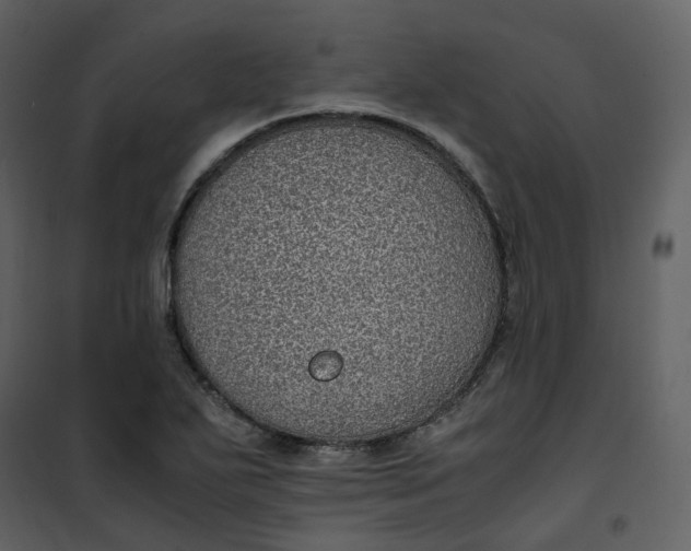 X0000101191271200807181502
