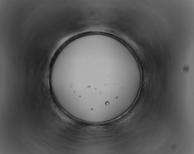 X0000101191272200807181502