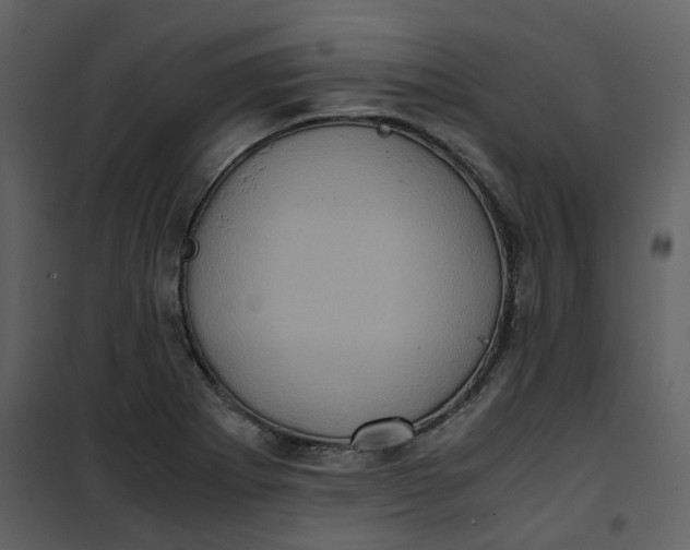 X0000101191273200807181502