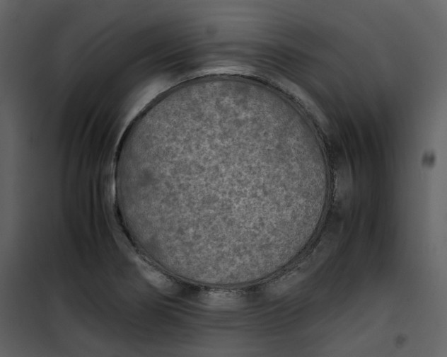 X0000101191274200807181502