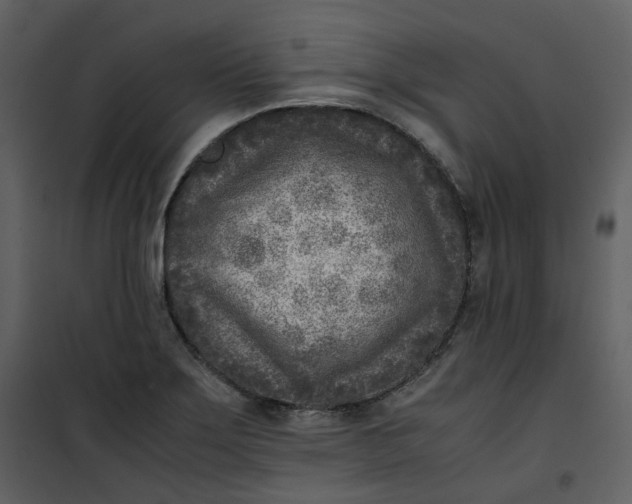 X0000101191275200807181502