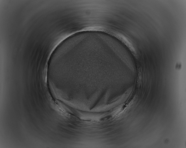 X0000101191276200807181502