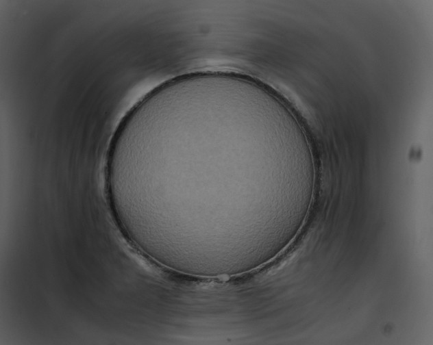 X0000101191277200807181502