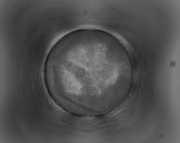 X0000101191279200807181502