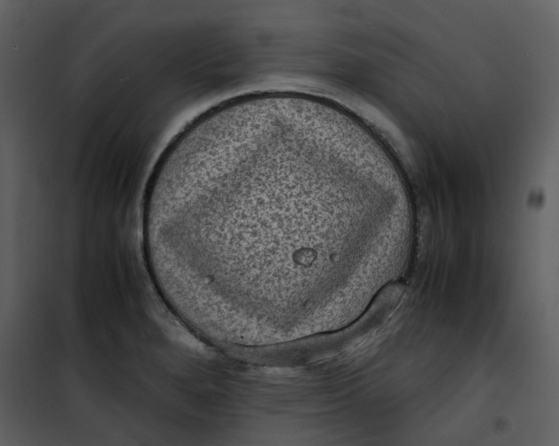 X0000101191280200807181502