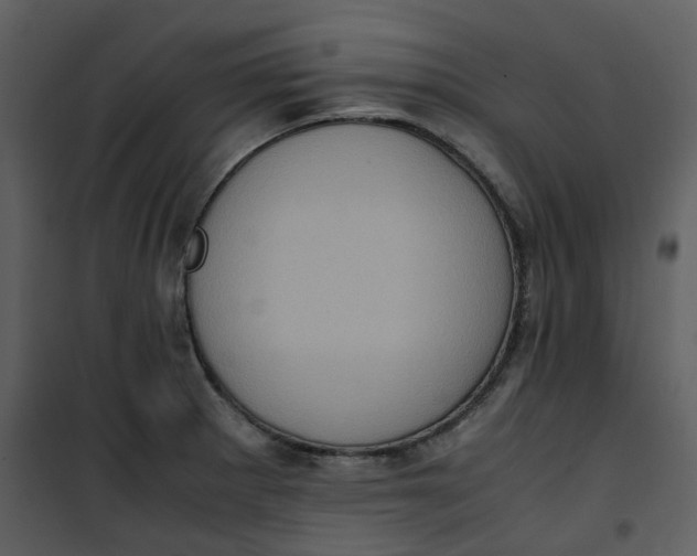 X0000101191281200807181502