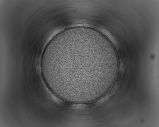 X0000101191282200807181502