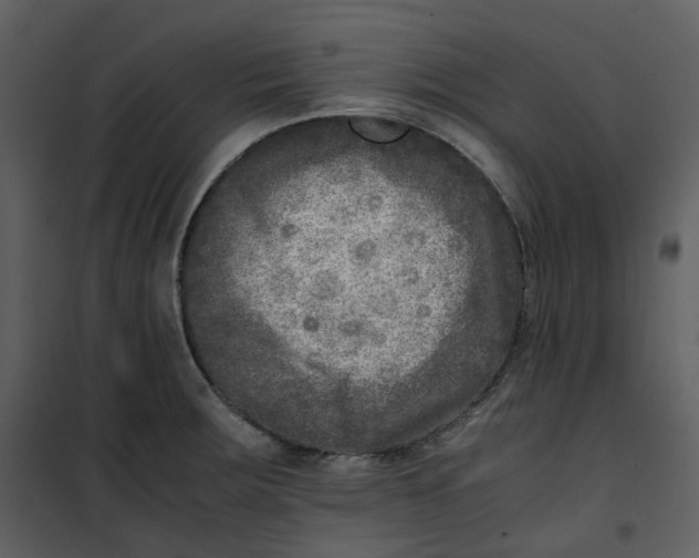 X0000101191283200807181502