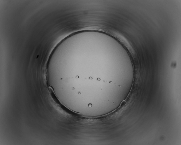 X0000101191284200807181502