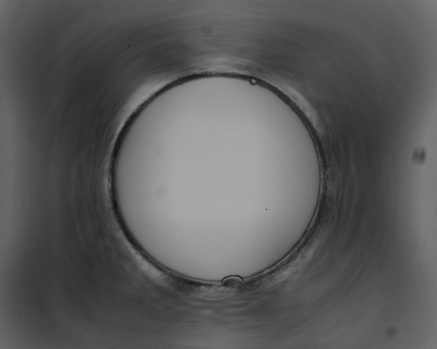 X0000101191285200807181502