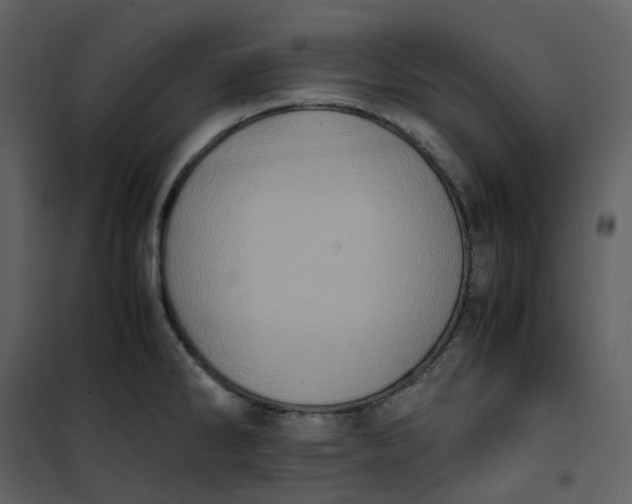X0000101191286200807181502