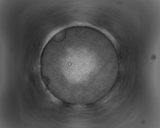 X0000101191287200807181502