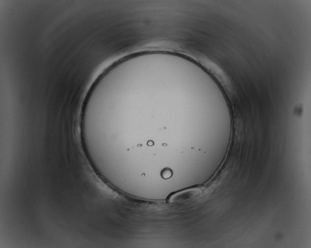 X0000101191288200807181502