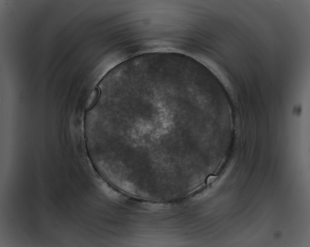 X0000101191289200807181502