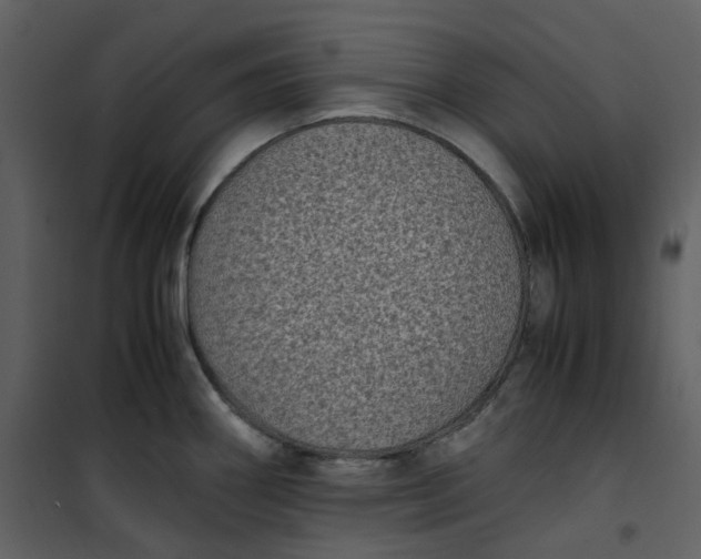 X0000101191290200807181502