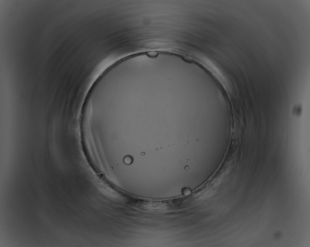 X0000101191291200807181502