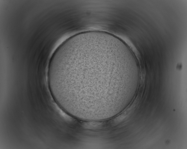X0000101191294200807181502