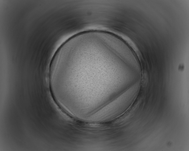 X0000101191295200807181502