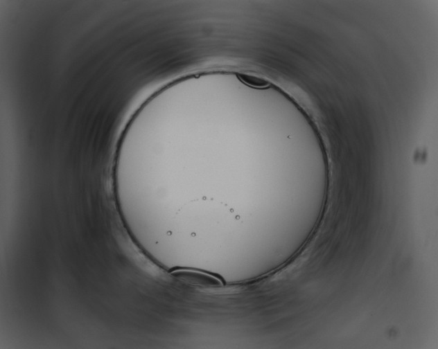 X0000101191296200807181502