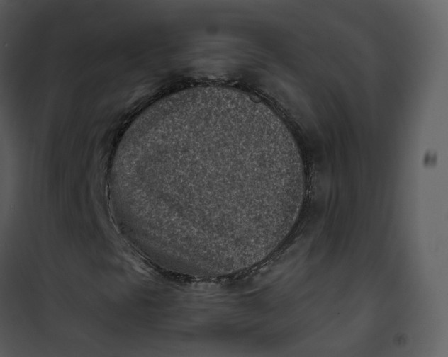 X0000101191297200807181501