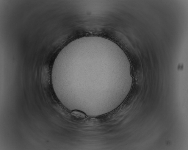 X0000101191298200807181501