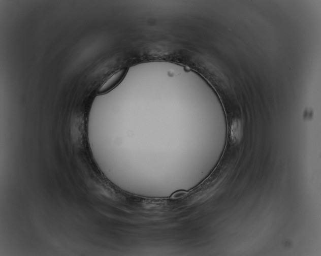 X0000101191299200807181501