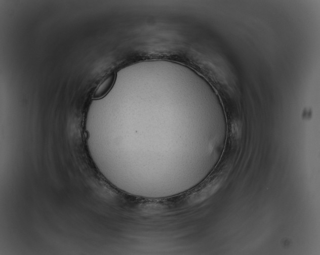 X0000101191300200807181501