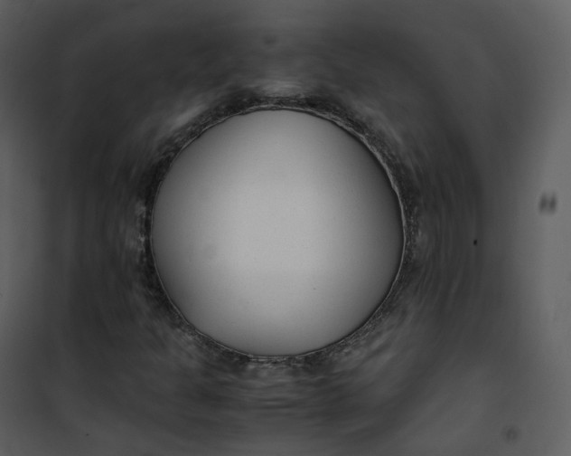 X0000101191301200807181501