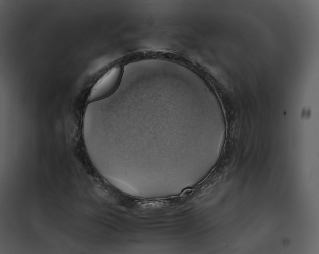 X0000101191303200807181501