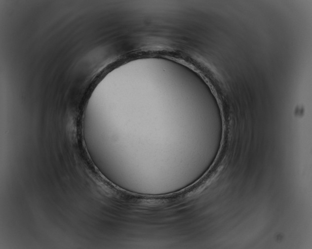 X0000101191305200807181501